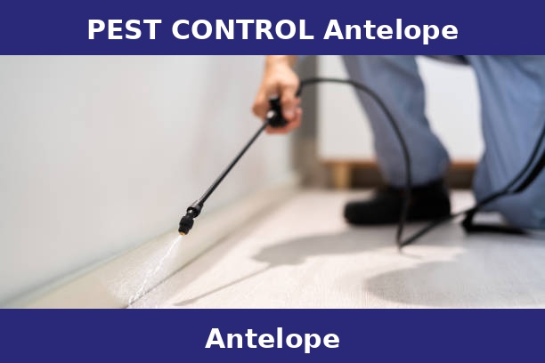 PEST CONTROL Antelope